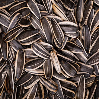 Sunflower-Seeds.jpg