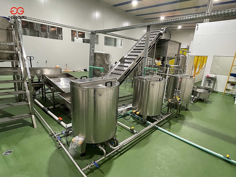 Cashew Nut Milk Project