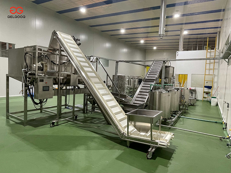 Nut Processing Project