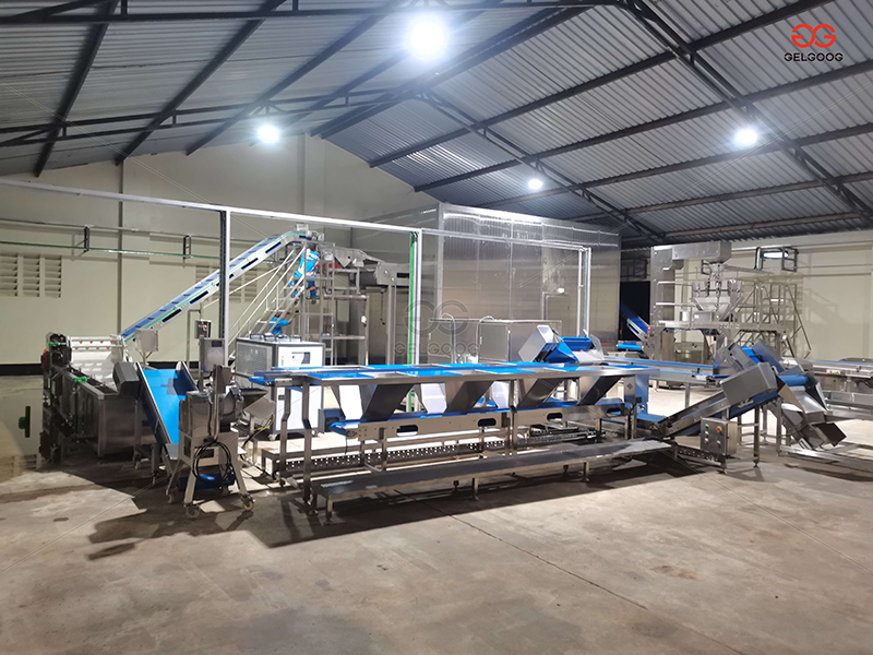 Kenya Avocado Project